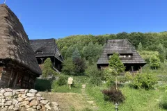 Ravens-Nest-3