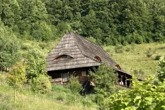 Ravens-Nest-6